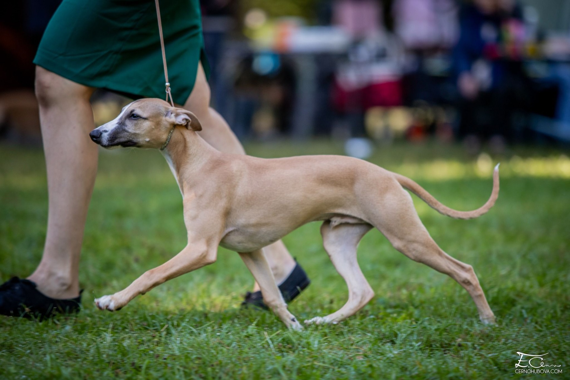 4 měsíce * 4 months