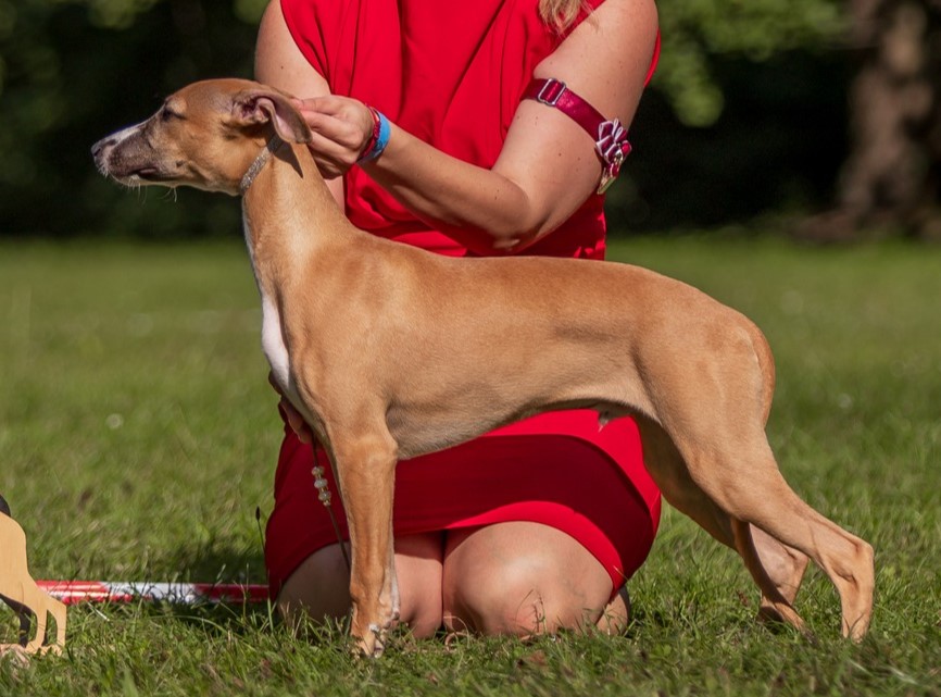 4 měsíce * 4 months